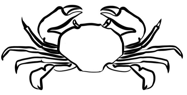 Black and white illustration of a crab with detailed claws and body, facing forward.