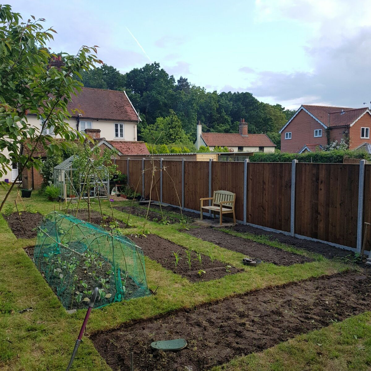 A well-maintained garden with rows of plants, a small greenhouse, a wooden bench, and a fence separating neighboring houses.