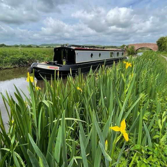 A narrowboat is moored on a canal bank surrounded by green plants and yellow flowers, with a brick bridge and cloudy sky in the background.