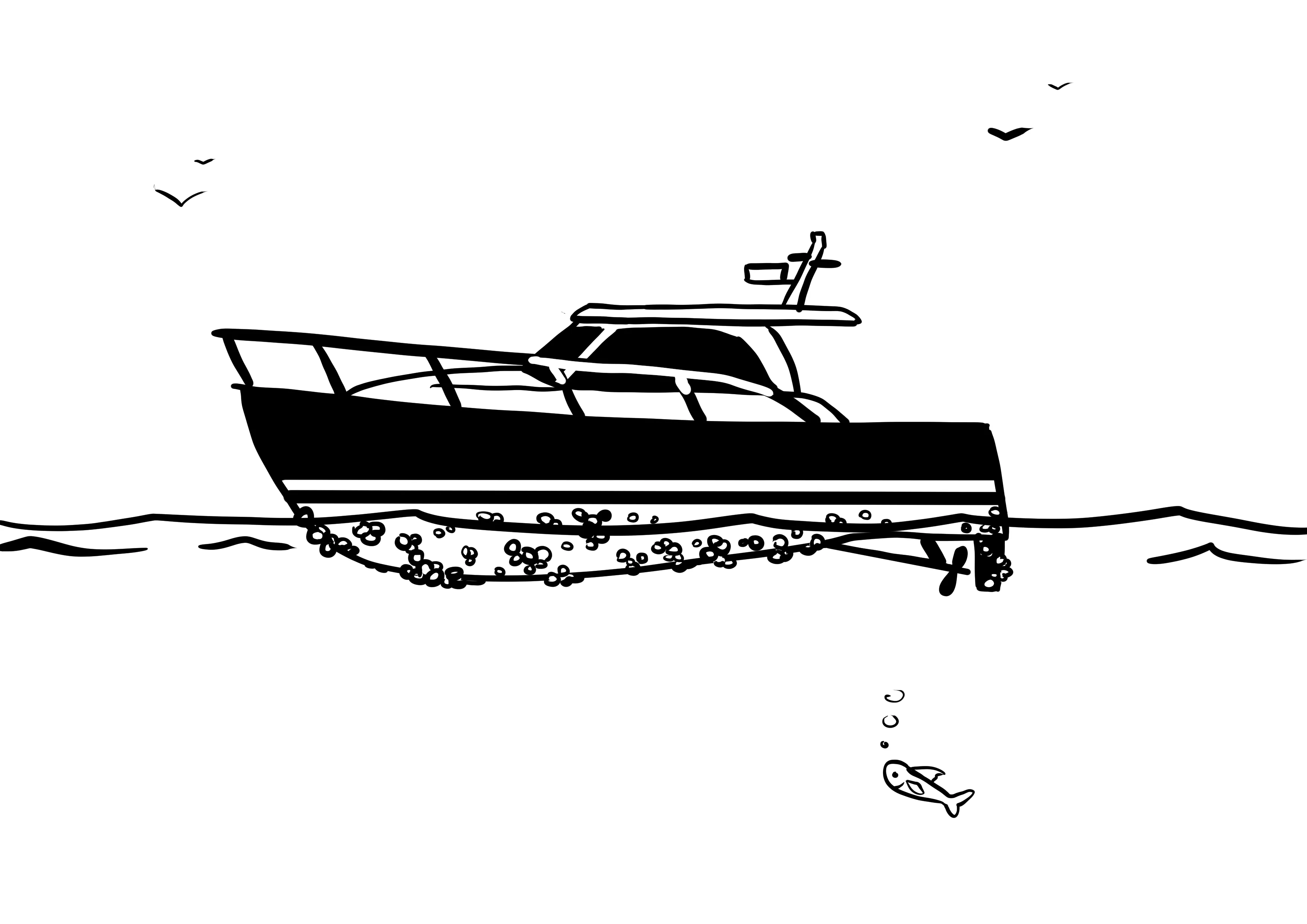 Line drawing of a boat floating on water with barnacles clinging to its hull, birds in the sky, and a fish below.